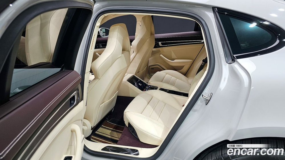 Porsche Panamera (971) 2.9 AWD Platinum Editions (04.2023)