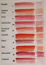 Пигмент для губ Contur Professional Сакура