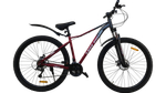 Велосипед Bike Dragon 29" 21скор (стальная рама,SunRun, диск. тормоз) BD-2-29-3 красный