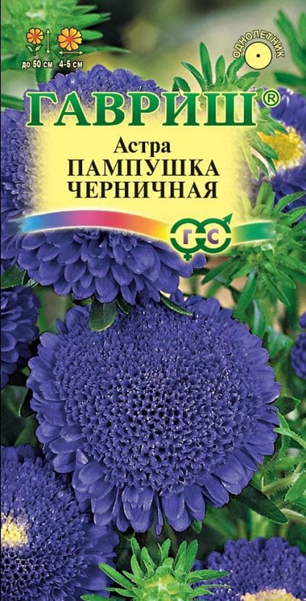 Астра Пампушка черничная помпонная 0,3г (Гавриш)