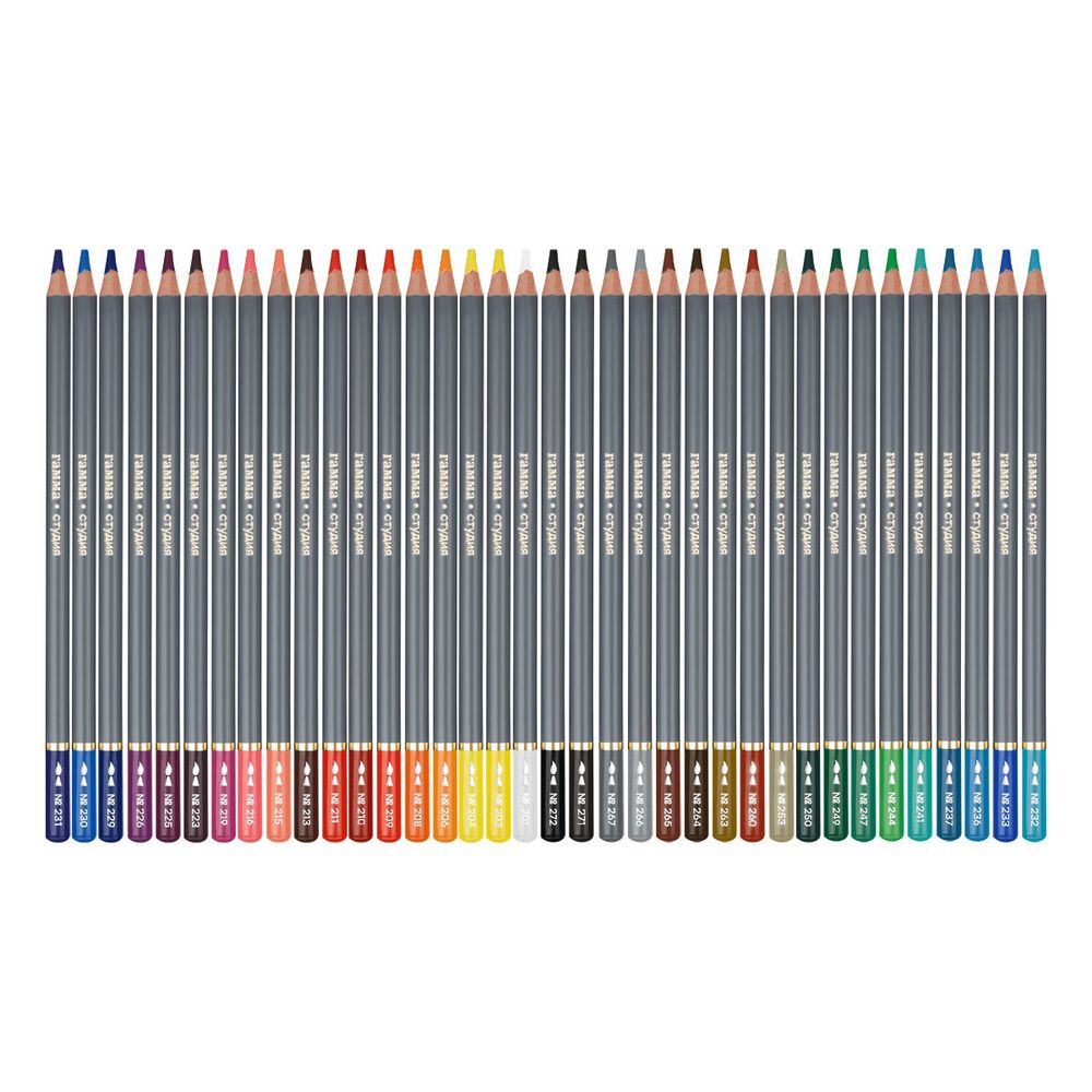 Карандаши акварельные 36 цв. Гамма Студия, картон. упаковка