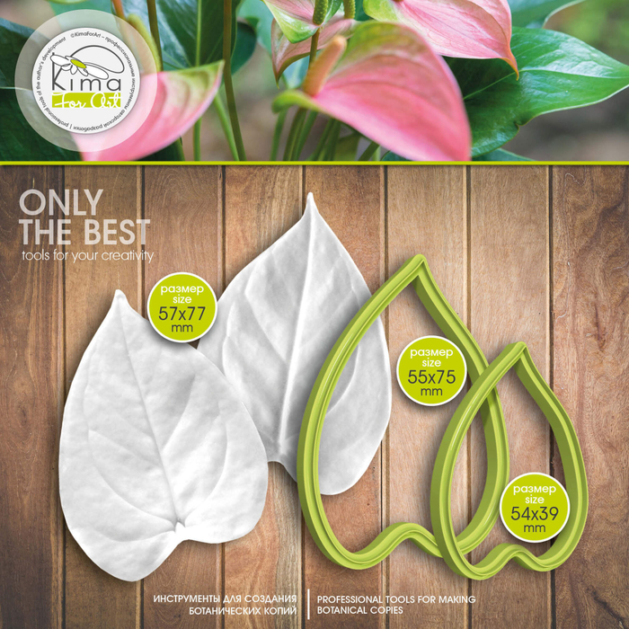 Антуриум лист средний