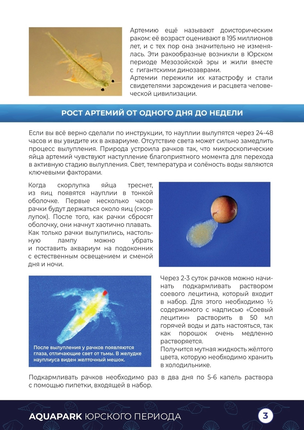 Аквапарк юрского периода, большой набор