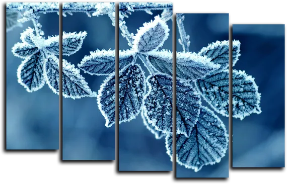 Модульная картина "Иней на листьях"