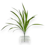 Трава луговая 60 см.