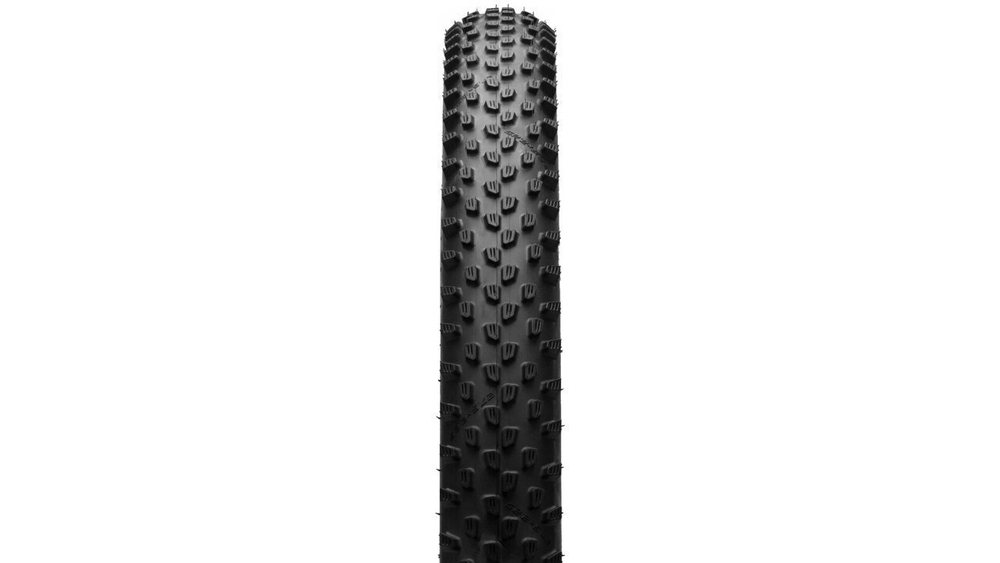 Покрышка Schwalbe 29"x 2.25 (622-57), RACING RALPH, XC/MARATHON, Performance, TLR, ADDIX, Folding, EPI 67, черная (10)