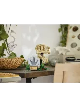 Конструктор Jurassic World 76964 Череп тираннозавра