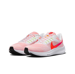 Мужские кроссовки Nike Air Zoom Pegasus 39 DH4071-102