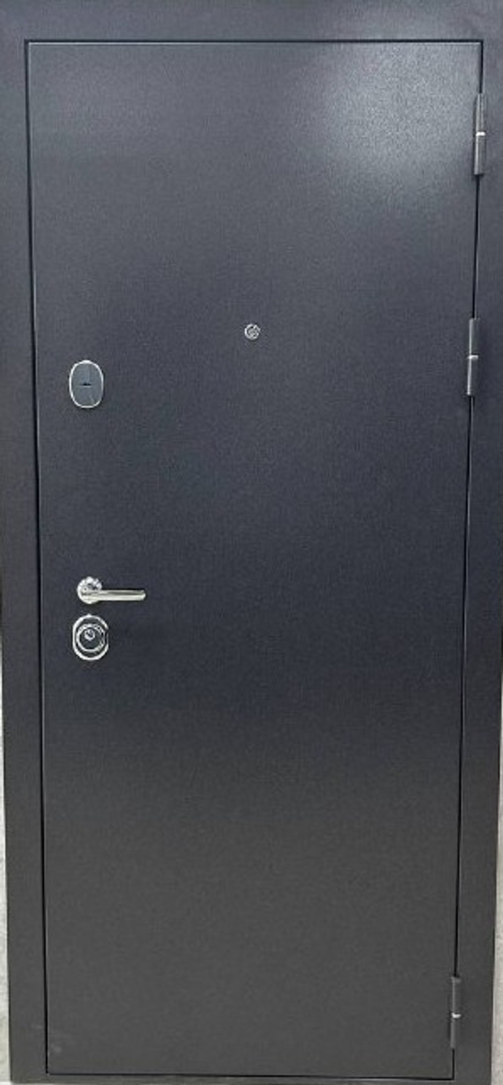 Дверь входная Вектор