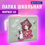 Папка для тетрадей BRAUBERG А5 1 отделение полиэстер на молнии с ручкой "Anime friends" (3 штуки в упаковке)