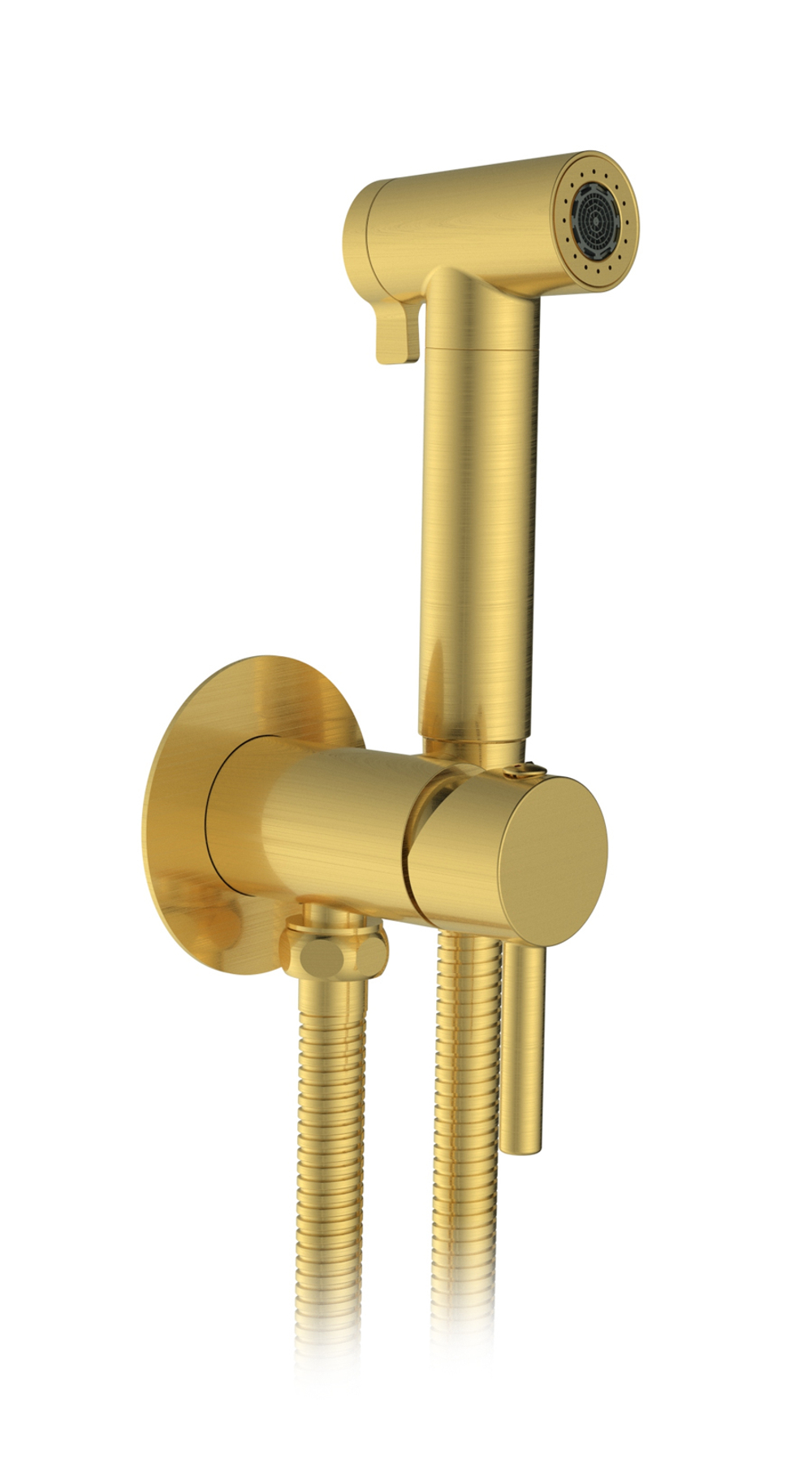 Встраиваемый гигиенический душ AltroBagno Modern 060117 BG