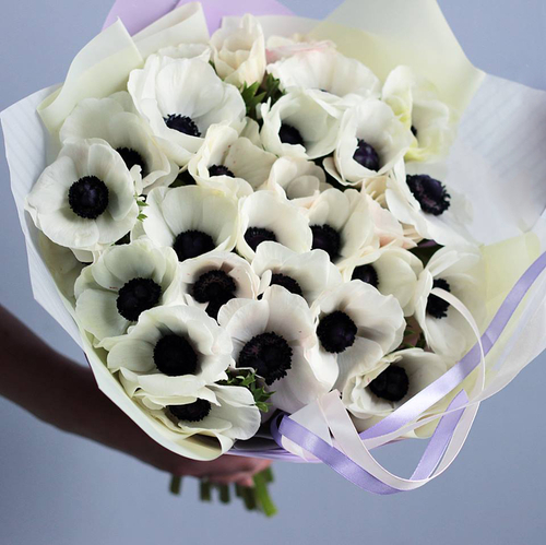 Купить Анемоны белые