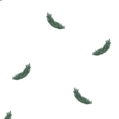 Веточки сосны