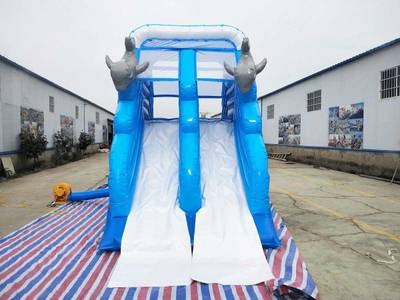 Водная надувная горка «Дельфинчики», 6*3*4 м