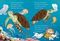 What Humming-Fish Wish