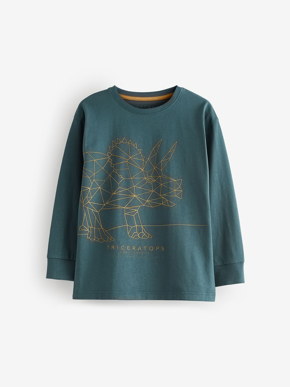 Пижама для мальчика Next B71-593, 2 шт., Светло-оранжевый, Темно-зеленый