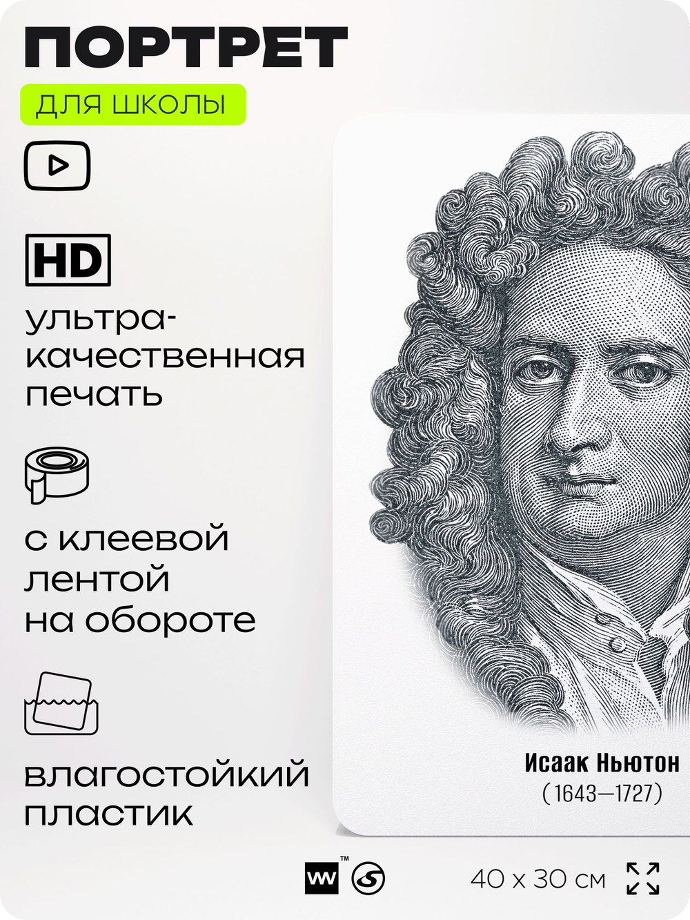 Портрет для школы в кабинет физики "Исаак Ньютон", стенд школьный для класса, деятели науки для оформления классного уголка, 40х30 см, Silver Plane x Айдентика Технолоджи