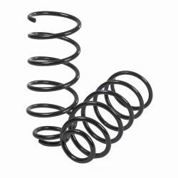 Пружина передняя L=R AD A3 VW G4/SKODA GANZ GIK02307