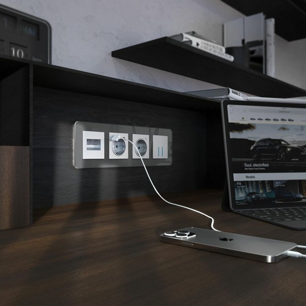 Рамка на 4 поста Werkel Elite (графит, стекло) W0042440