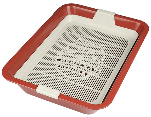 Сибирская кошка туалет для котят пэтти