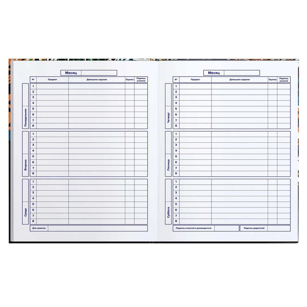 Дневник школьный 5-11 класс 48л "Тэги" (Феникс+)