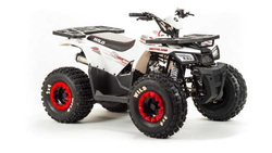 Квадроцикл MOTOLAND 125 WILD BASIC A
