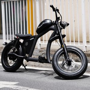 Электровелосипед Mangosteen FT-02 EEC 60V1000W30A