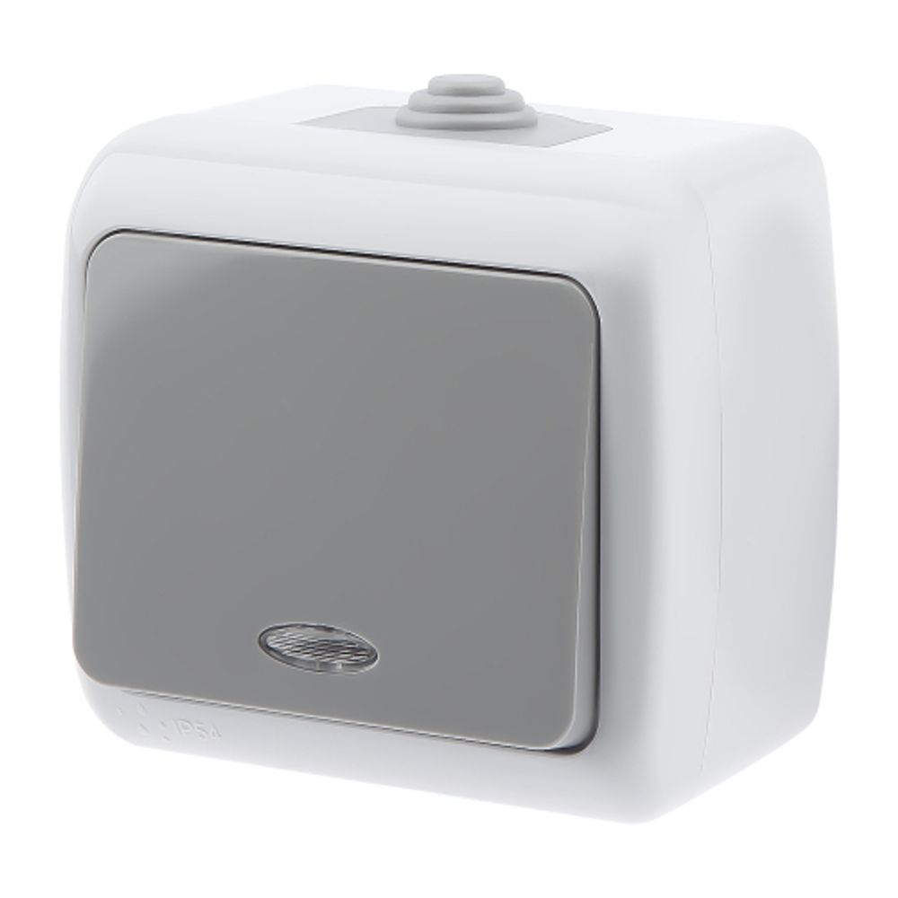 Выключатель Intro Atlantic 5-102-03 с подсветкой, 10А-250В, IP54, открытой установки, серый | Intro