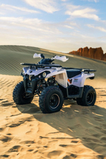 Квадроцикл SHARMAX Hummer 300