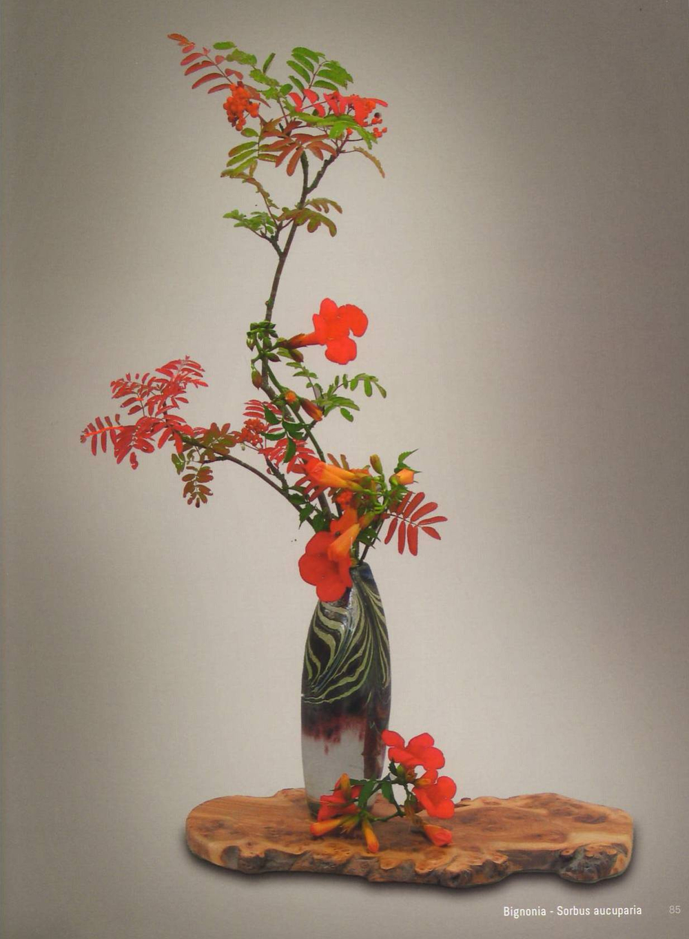 My Ikebana