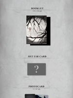Альбом REVENANT SBS Drama OST (CARD TYPE USB)