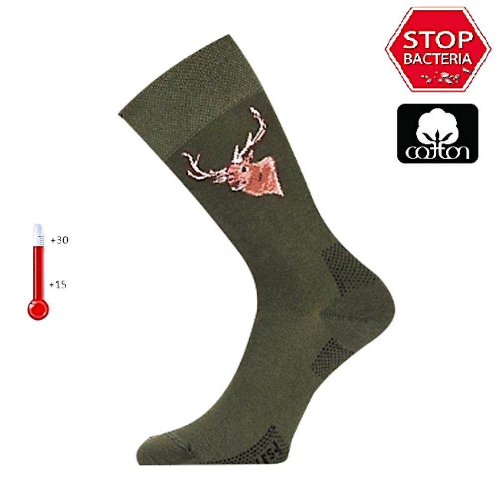 Носки Lasting LFSJ-620 +15°C+30°C Удлинёные (Лето) Cotton+Polyamide Зелёный с рисунком -