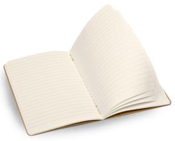 Блокнот Moleskine Evernote Large 130х210мм 80стр картон линейка бежевый 2шт (SKQP416EVER)