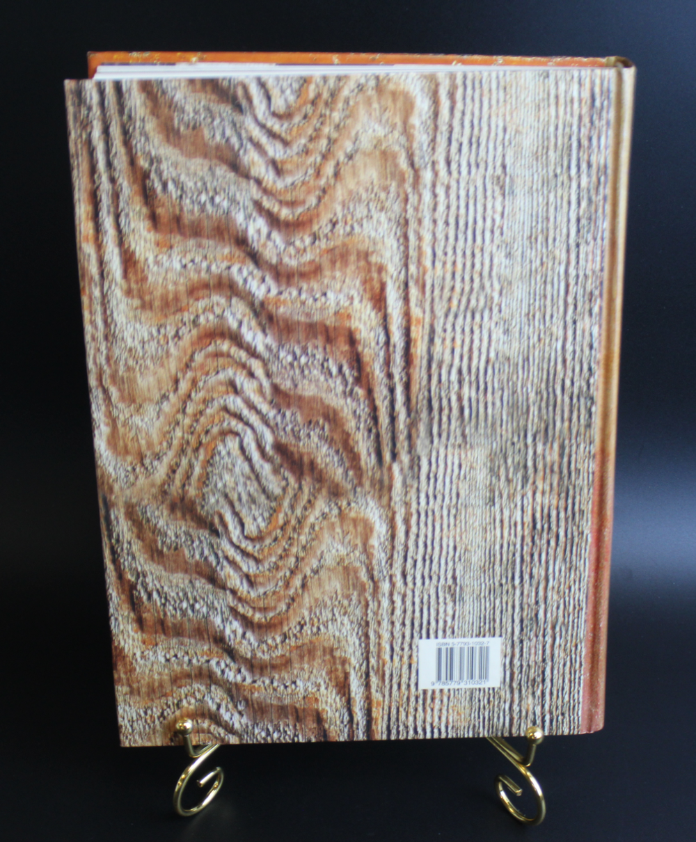 Книга Русская иконопись. Белый город 2006 г. Новая  XF