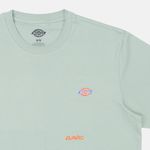  Футболка мужская Dickies Mapleton артикул:DK0A4XDBK361 - купить в магазине Дайс