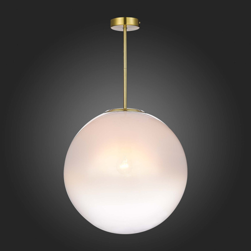 Светильник на штанге ST-Luce Cassius SL1190.222.01