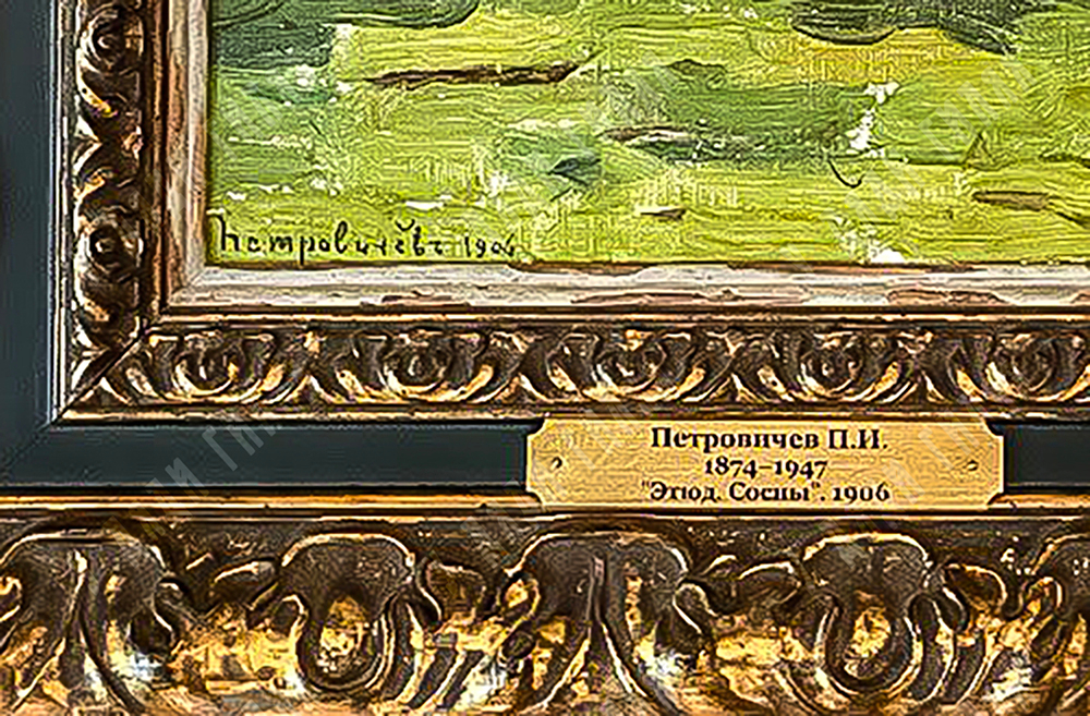 Петровичев Пётр Иванович. Сосновый лес. 1906 г. Холст на картоне, масло