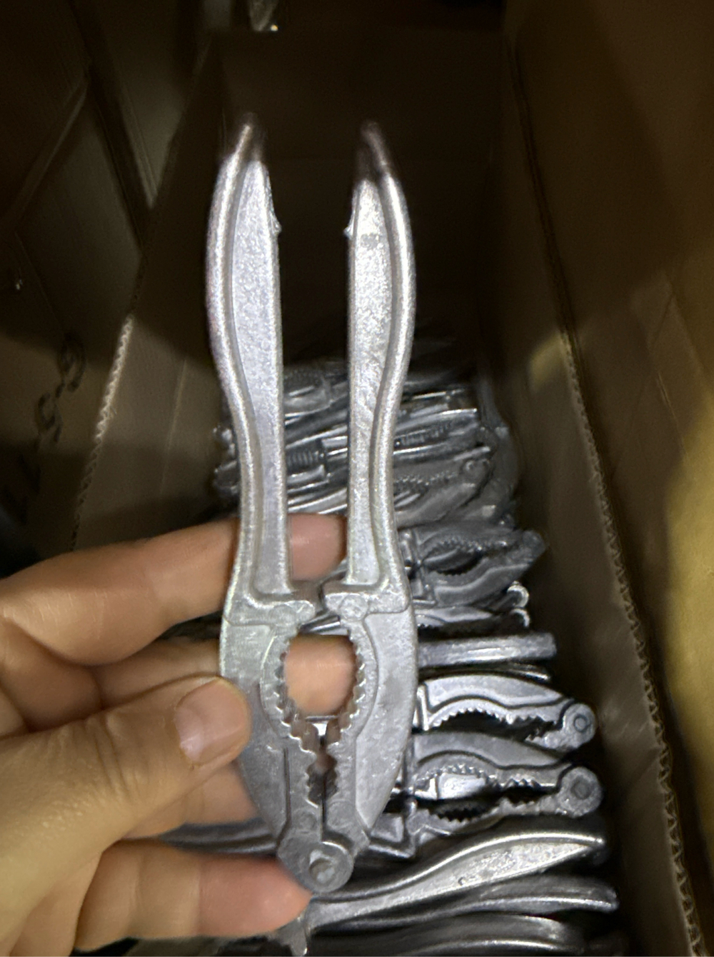 Орехокол плоский