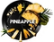 BlackBurn Pineapple (Пайнэпл), 25 гр.