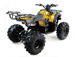 Квадроцикл MOTAX ATV Grizlik-8 125