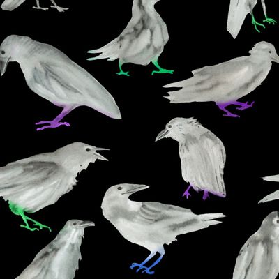 белый ворон на черном фоне