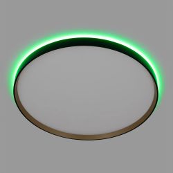 Citilux ETALON CL750501R LED RGB Светильник с пультом Чёрный+Золото