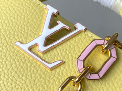 Louis Vuitton Capucines Mini