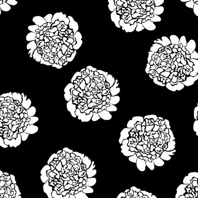 Пионы на черном