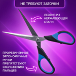 Ножницы BRAUBERG "Office-Expert" 170 мм сине-черные резиновые вставки 3-х сторонняя заточка (5 штук в упаковке)