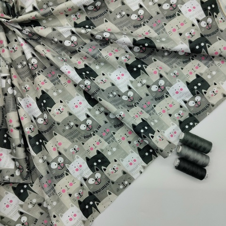 Дюспо котики