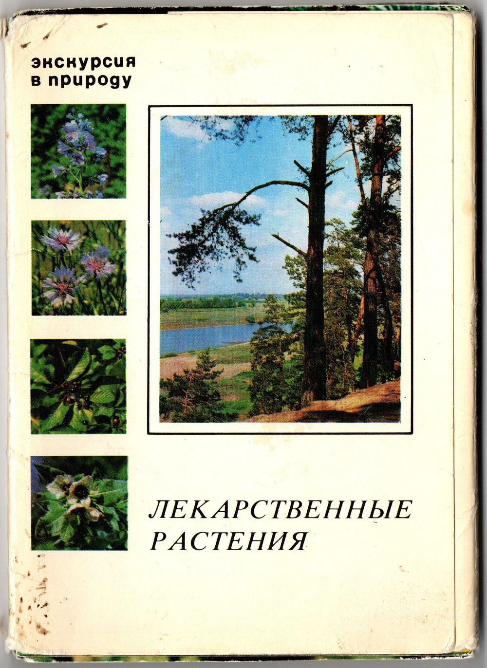 Лекарственные растения набор из 25 карточек, Экскурсия в природу, СССР 1978 год