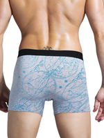 Классические боксеры