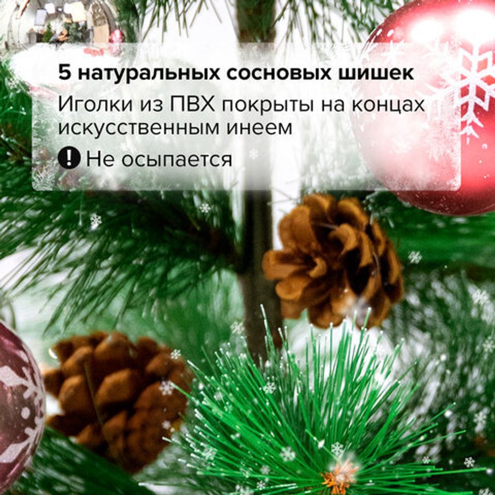 Ель новогодняя искусственная "Velvet Pinewood" 90 см, с инеем и шишками, ПВХ, ЗОЛОТАЯ СКАЗКА, 591701