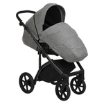 Детская коляска Roan Bass Next 2 в 1 RN027/1 Titanium